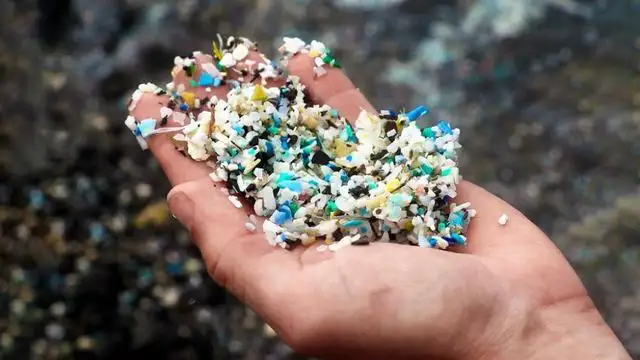 Die Verschmutzung der Umwelt der Erde durch Plastikmüll